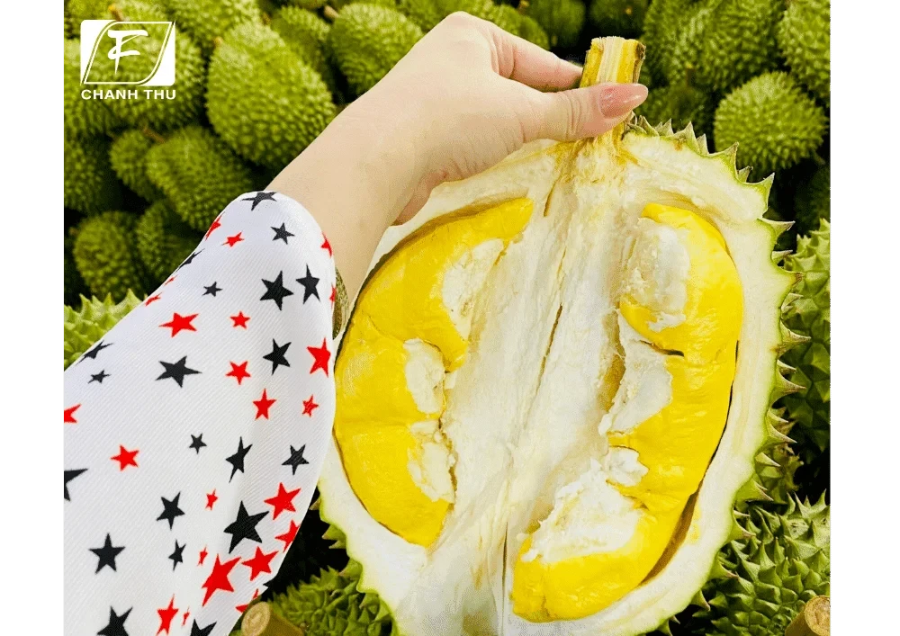 Mùa sầu riêng hỗn loạn: Người tranh mua, kẻ tranh bán