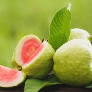 ỔI RUỘT ĐỎ