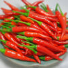 ỚT CHỈ THIÊN